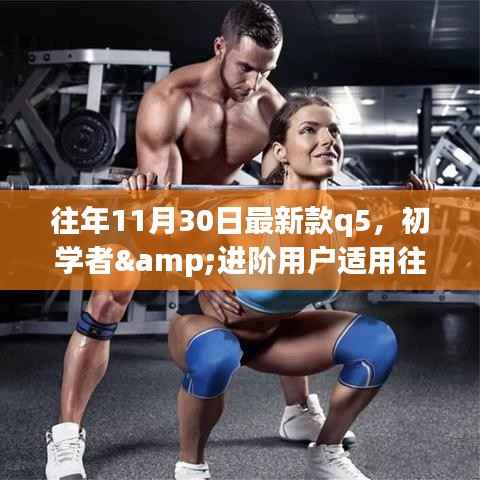 往年11月最新款Q5购买攻略,初学者与进阶用户选购指南