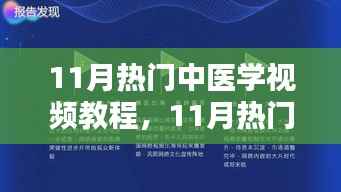 11月热门中医学视频教程,多元观点下的深入探讨