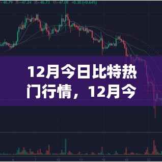 深度解析,掌握最新动态,揭秘比特币市场走势的热门行情