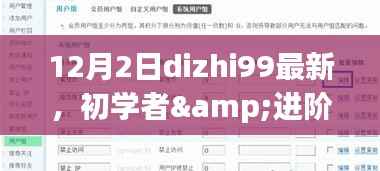 初学者与进阶用户适用的dizhi99最新任务完成步骤详解指南（12月2日更新版）