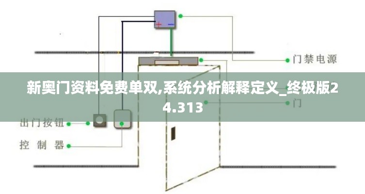 新奥门资料免费单双,系统分析解释定义_终极版24.313