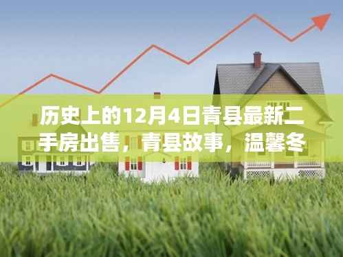 温馨冬日里的家园纽带,青县二手房之旅与故事回顾