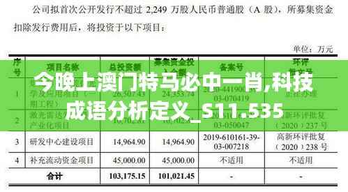 今晚上澳门特马必中一肖,科技成语分析定义_S11.535
