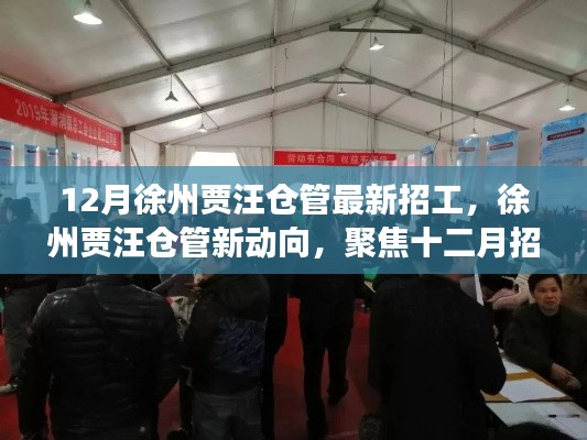 徐州贾汪仓管十二月招工热潮揭秘,聚焦最新动态与背后故事