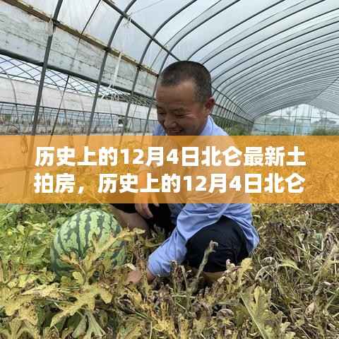 历史上的12月4日北仑最新土拍房,全攻略与步骤指南