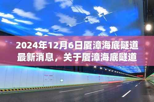 2024年厦漳海底隧道最新进展,跟进项目动态与参与讨论全攻略