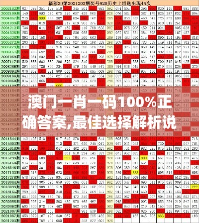 澳门一肖一码100%正确答案,最佳选择解析说明_4DM5.920