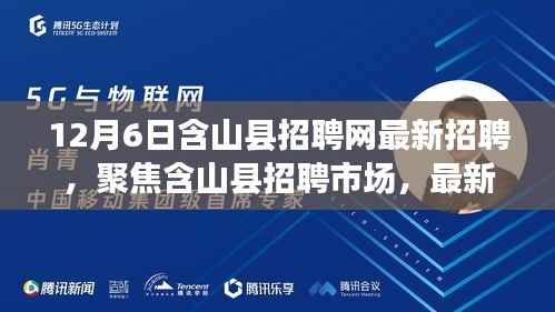 含山县招聘网12月6日最新招聘信息及分析