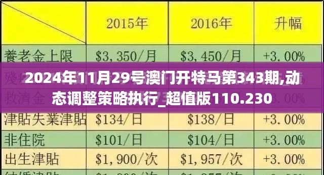 2024年11月29号澳门开特马第343期,动态调整策略执行_超值版110.230