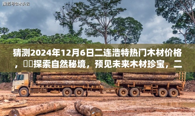 二连浩特木材市场展望,揭秘未来木材珍宝,探索价格趋势之旅(2024年预测)