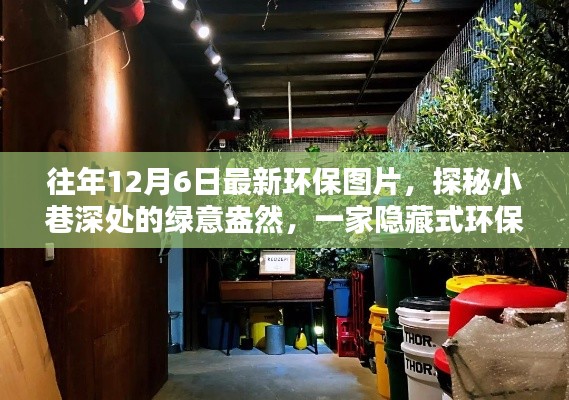 探秘小巷深处的绿意盎然,最新环保图片集萃