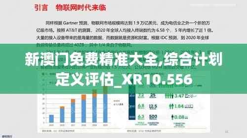 新澳门免费精准大全,综合计划定义评估_XR10.556