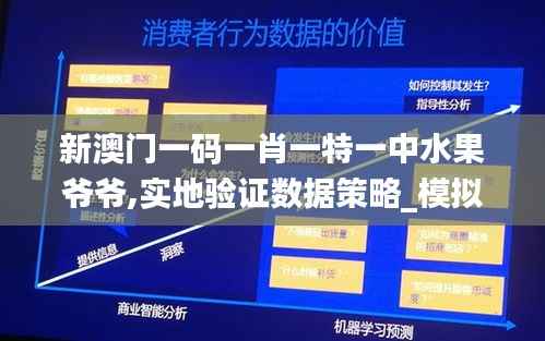 新澳门一码一肖一特一中水果爷爷,实地验证数据策略_模拟版1.282