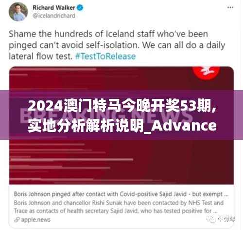 2024澳门特马今晚开奖53期,实地分析解析说明_Advance17.217