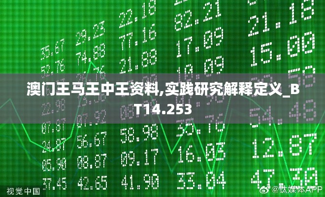 澳门王马王中王资料,实践研究解释定义_BT14.253