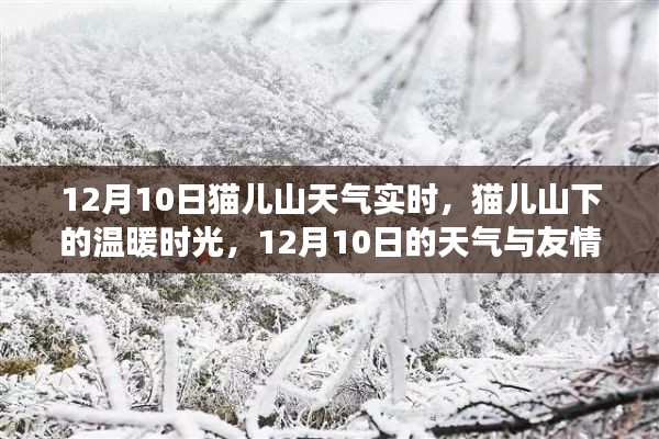 猫儿山下的温暖时光,12月10日的天气与友情记事实时播报