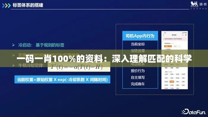 一码一肖100%的资料:深入理解匹配的科学