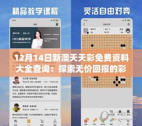12月14日新澳天天彩免费资料大全查询：探索无价回报的彩票之旅