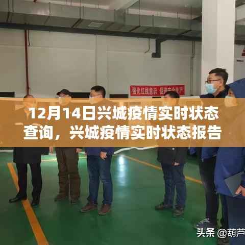 兴城疫情实时状态报告,聚焦十二月十四日的抗疫前线动态