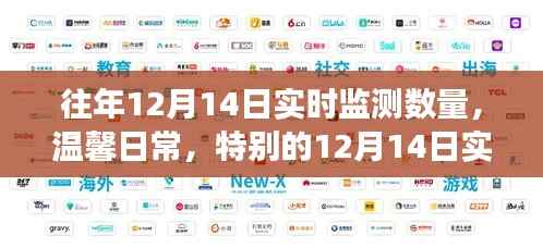 特别的日子,12月14日实时监测数量与温馨日常之旅