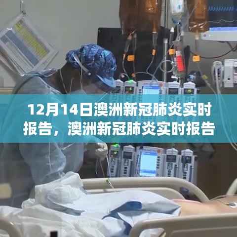 澳洲新冠肺炎实时报告深度洞察,十二月十四日最新报告发布