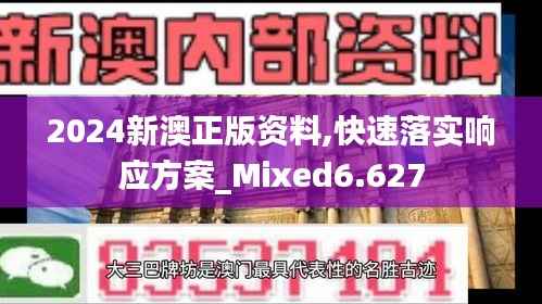2024新澳正版资料,快速落实响应方案_Mixed6.627