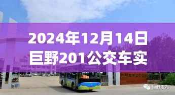 巨野公交巨野201线路运营分析与实时公交服务的双刃剑效应
