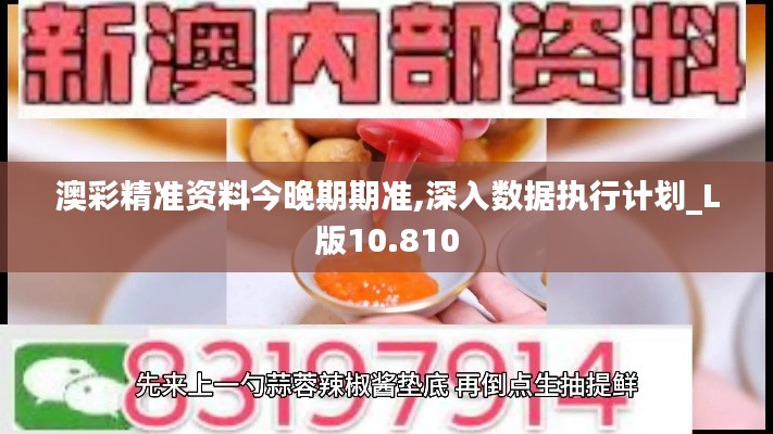澳彩精准资料今晚期期准,深入数据执行计划_L版10.810