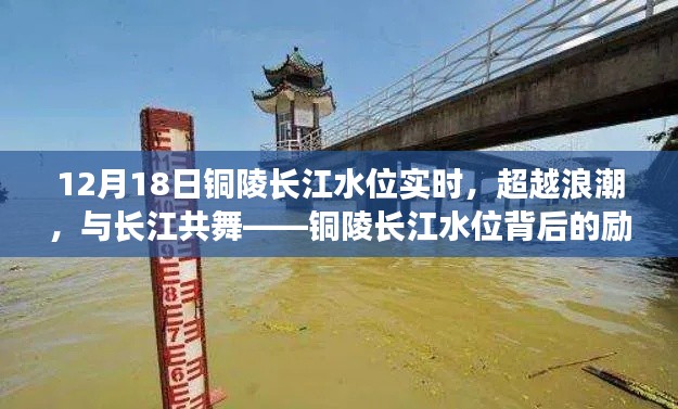 铜陵长江水位背后的励志故事，超越浪潮，与长江共舞（实时更新）