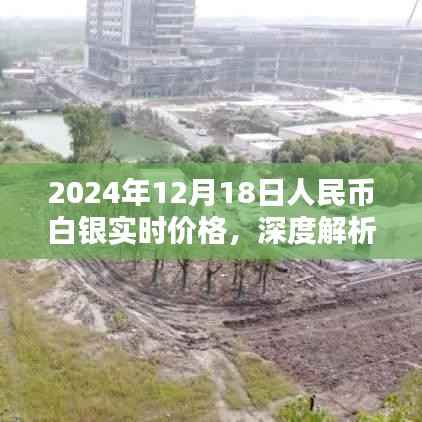 深度解析,2024年12月18日人民币白银实时价格、特性、用户体验及竞品对比