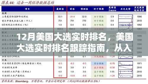 美国大选实时排名跟踪指南,从入门到进阶,12月选举动态速递