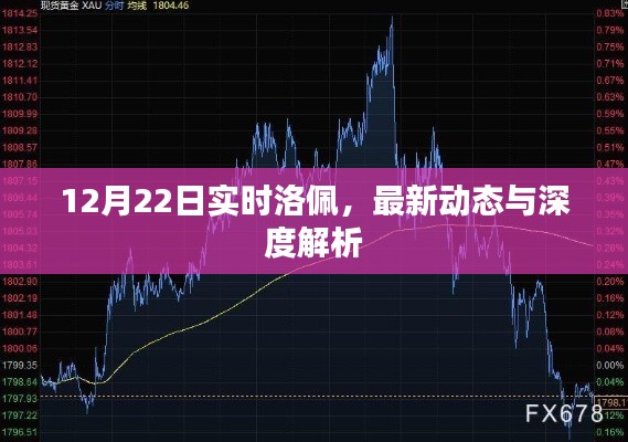 洛佩最新动态与深度解析，12月22日实时更新