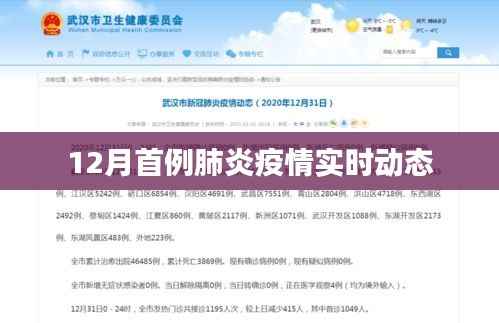 肺炎疫情实时动态,关注十二月首例病例