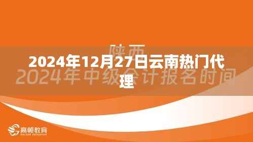 云南热门代理业务概览,最新动态与趋势分析(2024年)