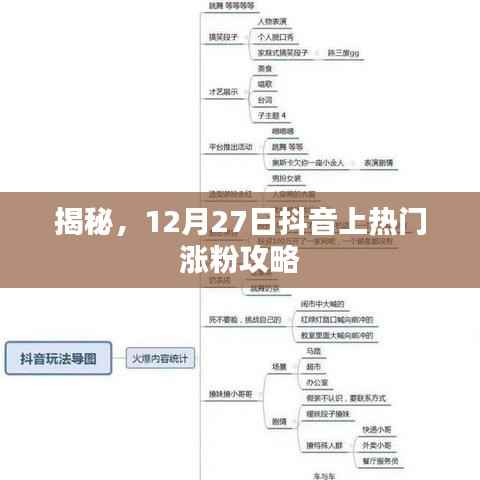 抖音涨粉攻略揭秘,如何快速吸引粉丝关注?