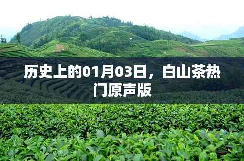 白山茶热门原声版,历史上的今天回顾