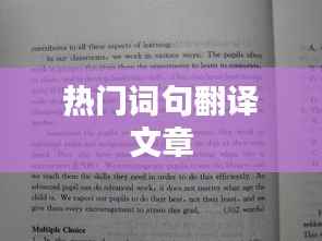 热门词句翻译文章概览