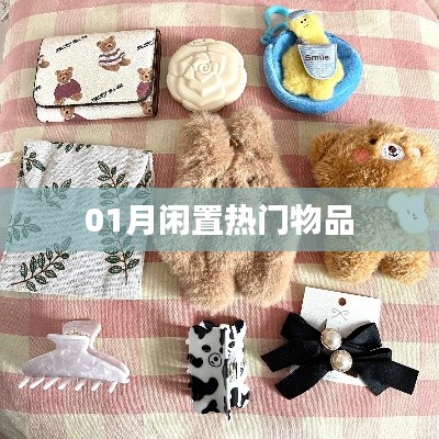 闲置热门物品一月大放送