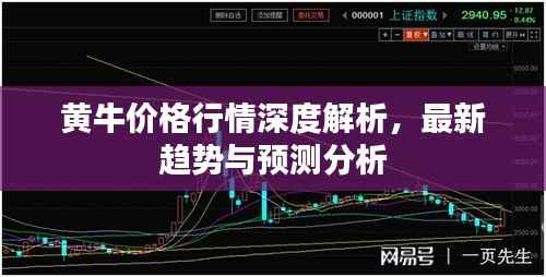 黄牛价格行情深度解析,最新趋势与预测分析
