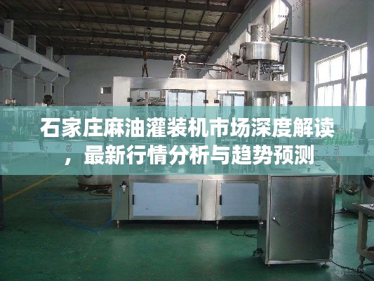 石家庄麻油灌装机市场深度解读,最新行情分析与趋势预测