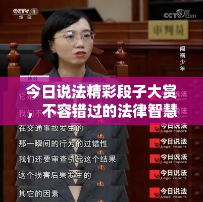 今日说法精彩段子大赏,不容错过的法律智慧分享