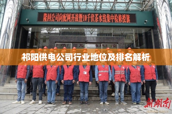 祁阳供电公司行业地位及排名解析