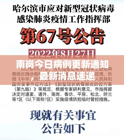 南岗今日病例更新通知,最新消息速递