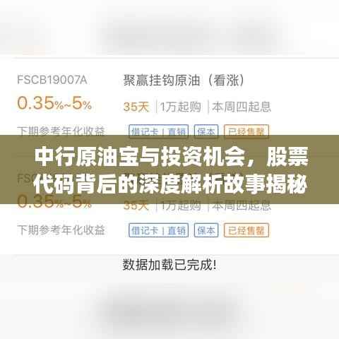 中行原油宝与投资机会，股票代码背后的深度解析故事揭秘
