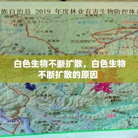 白色生物不断扩散,白色生物不断扩散的原因