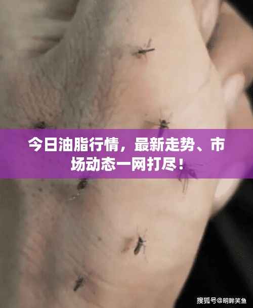 今日油脂行情,最新走势、市场动态一网打尽!