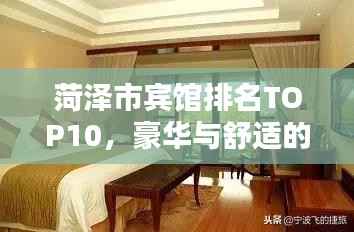 菏泽市宾馆排名TOP10,豪华与舒适的住宿体验一览