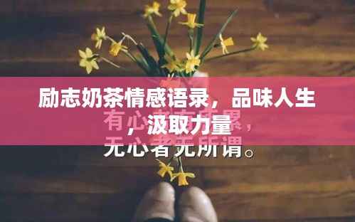 励志奶茶情感语录,品味人生,汲取力量