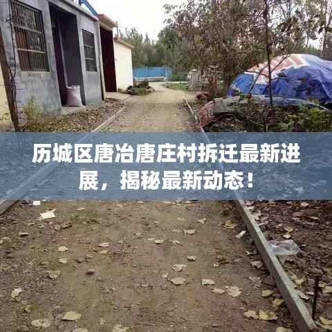 历城区唐冶唐庄村拆迁最新进展,揭秘最新动态!