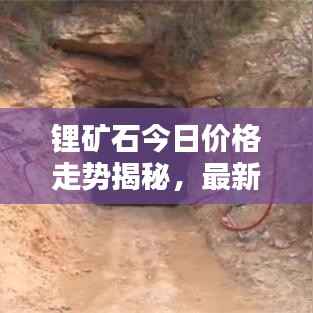 锂矿石今日价格走势揭秘,最新动态一网打尽